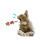 Moachi's World（個別スタンプ：21）