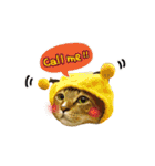 Moachi's World（個別スタンプ：28）