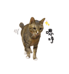 Moachi's World（個別スタンプ：32）