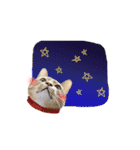 Moachi's World（個別スタンプ：33）