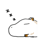 WaterPig's Life（個別スタンプ：1）