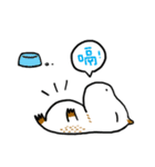 WaterPig's Life（個別スタンプ：28）