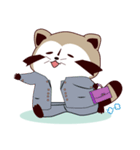 North American Raccoon (V3)（個別スタンプ：6）