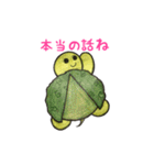 うみがめエディの気持ち1（個別スタンプ：27）