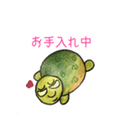 うみがめエディの気持ち1（個別スタンプ：38）