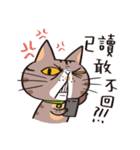 ipetQ（個別スタンプ：3）