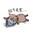 ipetQ（個別スタンプ：7）