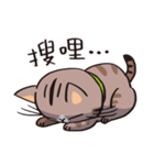 ipetQ（個別スタンプ：8）