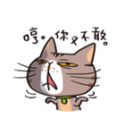 ipetQ（個別スタンプ：17）