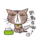 ipetQ（個別スタンプ：21）
