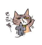 ipetQ（個別スタンプ：22）