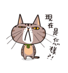 ipetQ（個別スタンプ：25）