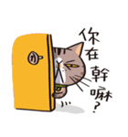 ipetQ（個別スタンプ：31）