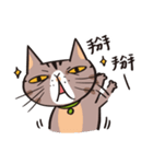 ipetQ（個別スタンプ：36）