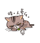 ipetQ（個別スタンプ：37）
