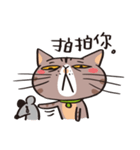 ipetQ（個別スタンプ：39）