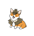 Detective Corgi（個別スタンプ：1）