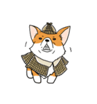 Detective Corgi（個別スタンプ：2）