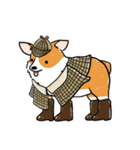 Detective Corgi（個別スタンプ：3）