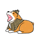 Detective Corgi（個別スタンプ：5）