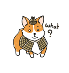 Detective Corgi（個別スタンプ：6）