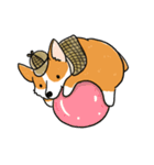 Detective Corgi（個別スタンプ：8）