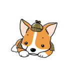 Detective Corgi（個別スタンプ：12）