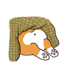 Detective Corgi（個別スタンプ：13）