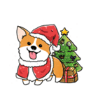 Detective Corgi（個別スタンプ：17）