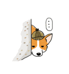 Detective Corgi（個別スタンプ：20）