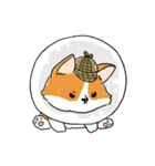 Detective Corgi（個別スタンプ：21）