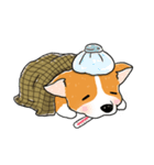 Detective Corgi（個別スタンプ：22）