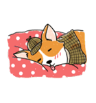 Detective Corgi（個別スタンプ：26）