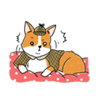 Detective Corgi（個別スタンプ：27）