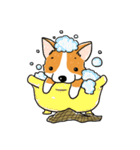 Detective Corgi（個別スタンプ：28）