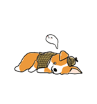 Detective Corgi（個別スタンプ：29）