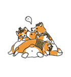 Detective Corgi（個別スタンプ：32）