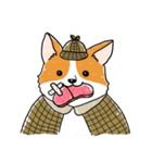 Detective Corgi（個別スタンプ：34）