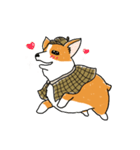 Detective Corgi（個別スタンプ：36）