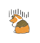 Detective Corgi（個別スタンプ：37）