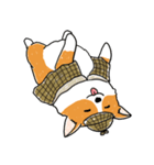 Detective Corgi（個別スタンプ：40）