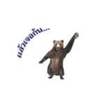 Grizzly Bear for Chat（個別スタンプ：2）