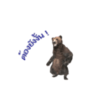 Grizzly Bear for Chat（個別スタンプ：3）