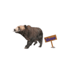 Grizzly Bear for Chat（個別スタンプ：5）
