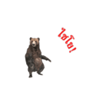 Grizzly Bear for Chat（個別スタンプ：7）