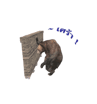Grizzly Bear for Chat（個別スタンプ：8）