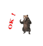 Grizzly Bear for Chat（個別スタンプ：9）
