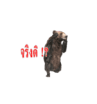 Grizzly Bear for Chat（個別スタンプ：13）