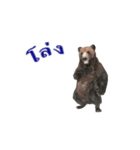 Grizzly Bear for Chat（個別スタンプ：19）