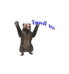 Grizzly Bear for Chat（個別スタンプ：23）